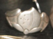 555.jpg
