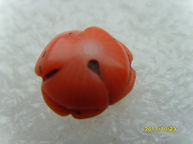 SNV30827.JPG