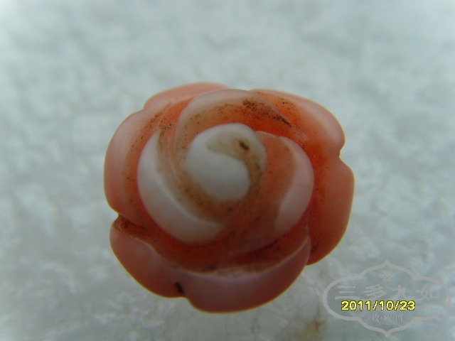 SNV30828.JPG