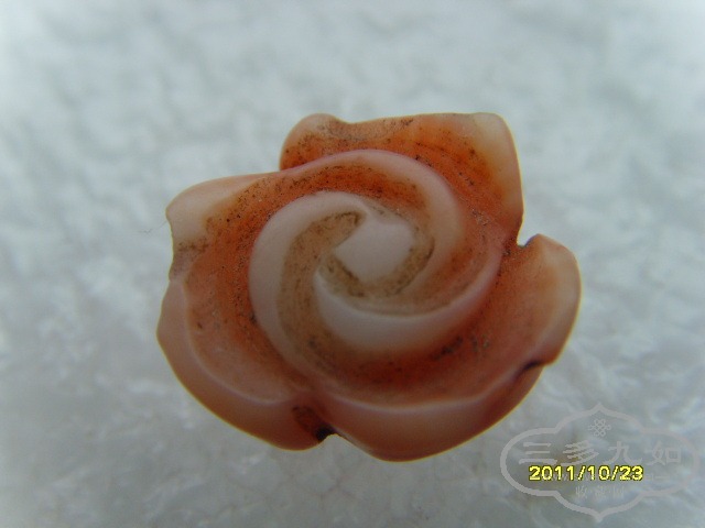 SNV30830.JPG