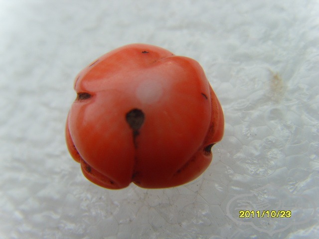 SNV30835.JPG