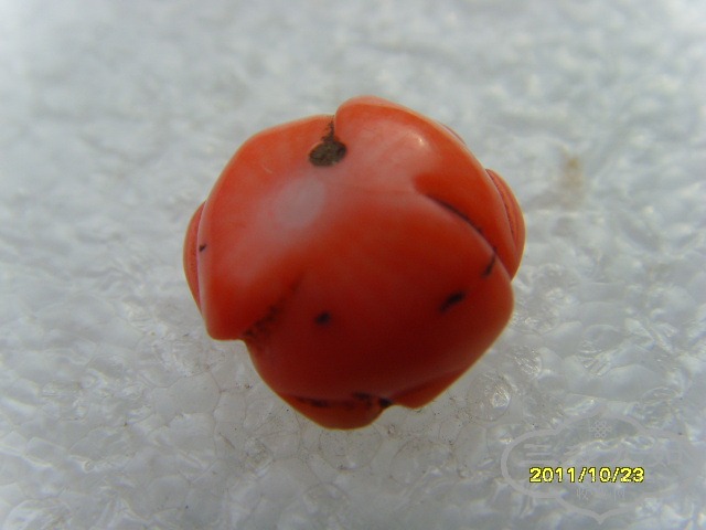 SNV30833.JPG