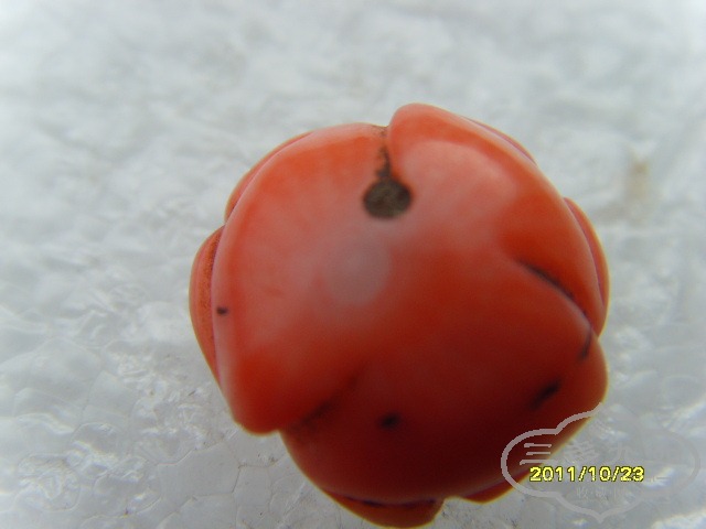SNV30834.JPG