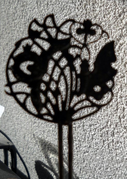 DSCN6271.JPG
