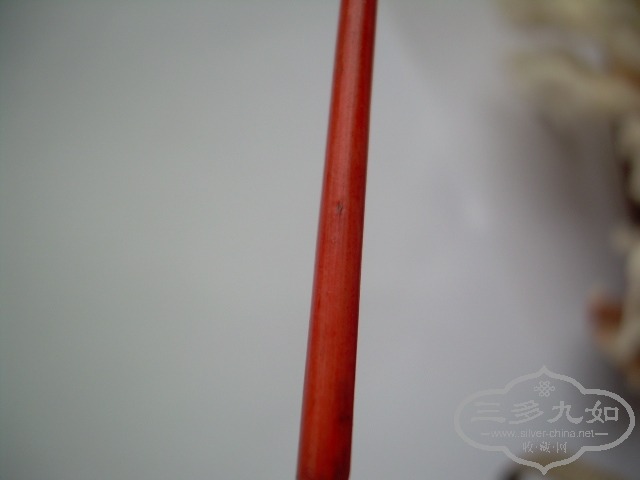 DSCN9438.JPG
