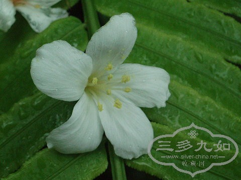 20080506_03.jpg