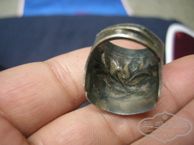 DSCN5719.JPG