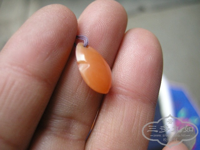 DSCN5790.JPG