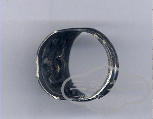 δ-2.jpg