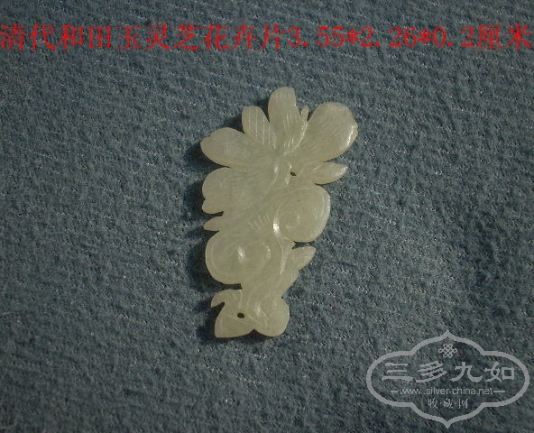 DSCN8707.JPG