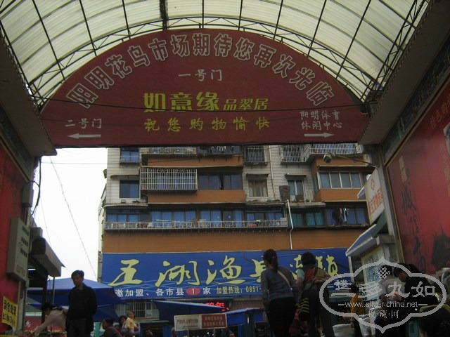 20111019եֻг 011.jpg
