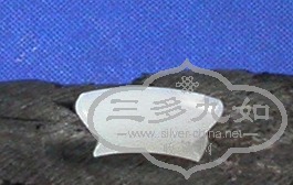 DSCN5253.JPG