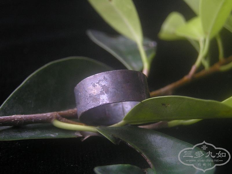 P1010045.JPG