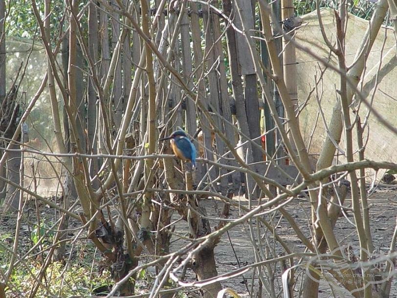 DSC03605.JPG