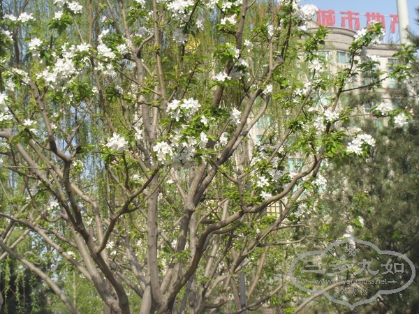 DSC01203.JPG