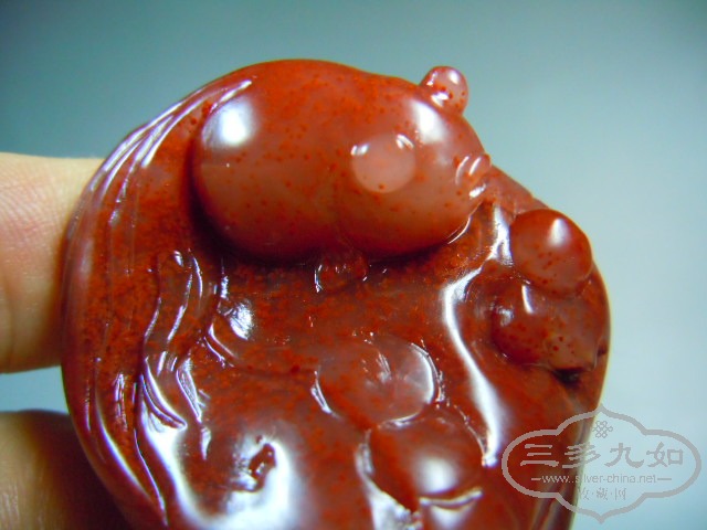 DSCN7765.JPG