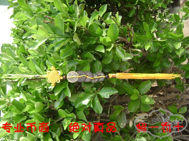 DSC00629_.jpg
