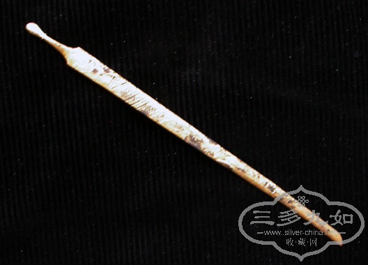 DSCN5699.JPG