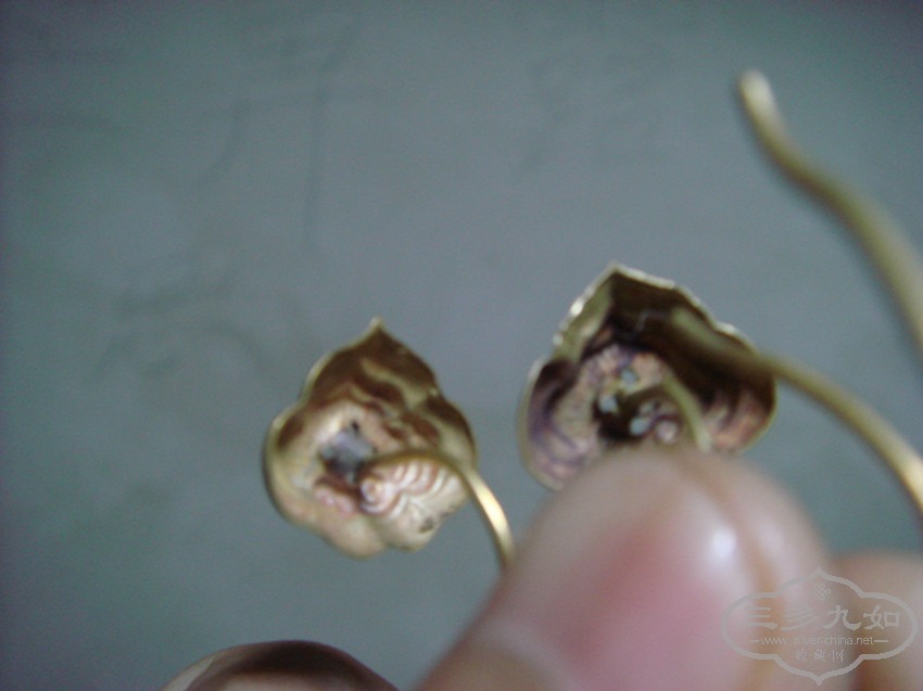 DSC01087_.jpg