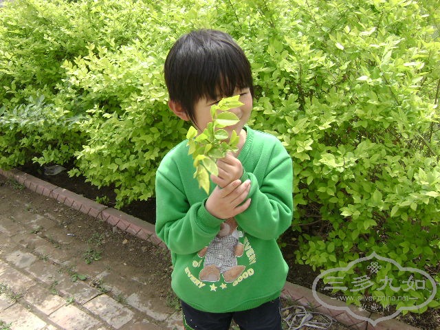 DSC00663.JPG