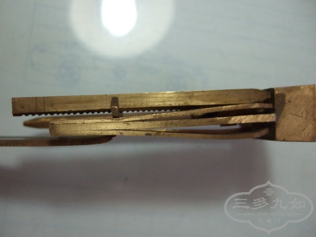 DSCF0091_СС.jpg