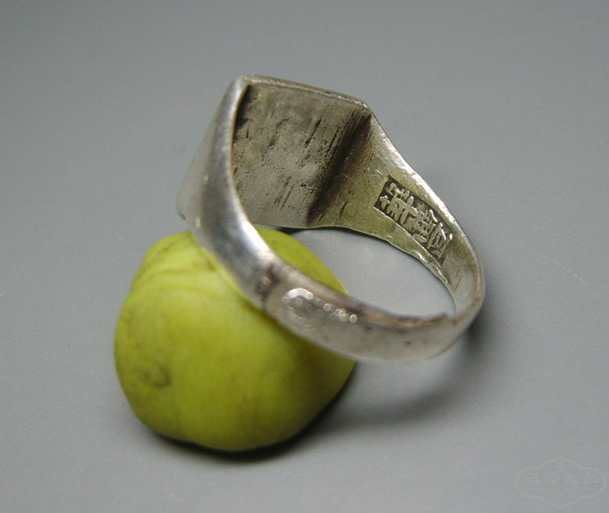 S8000054.JPG