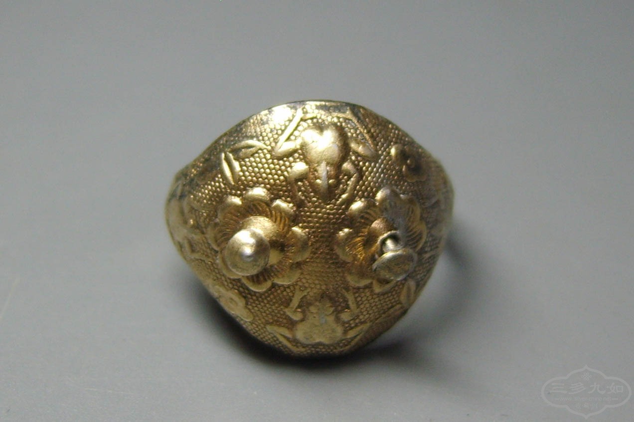 S8000058.JPG