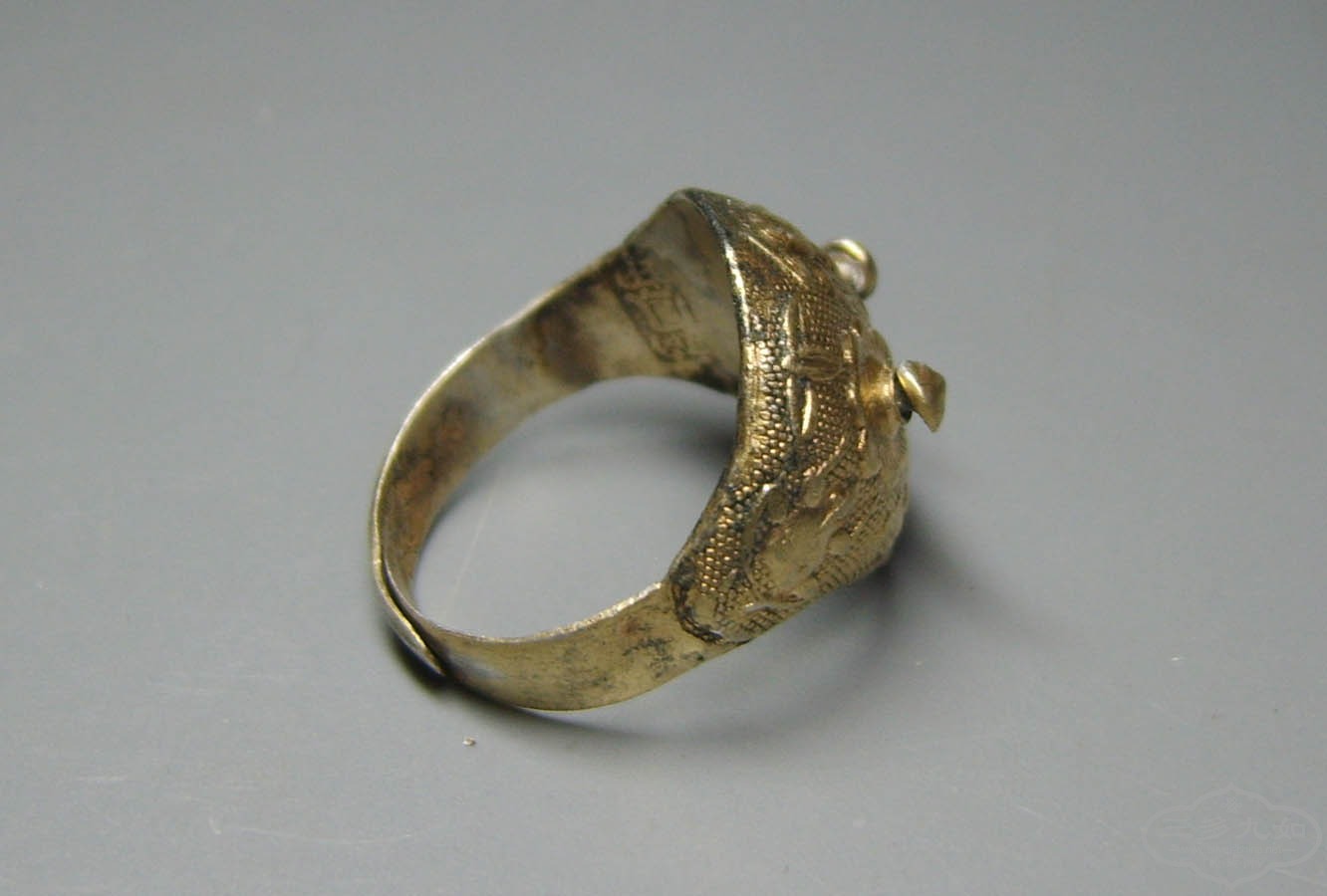 S8000061.JPG