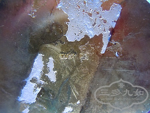 DSCN3589_.jpg