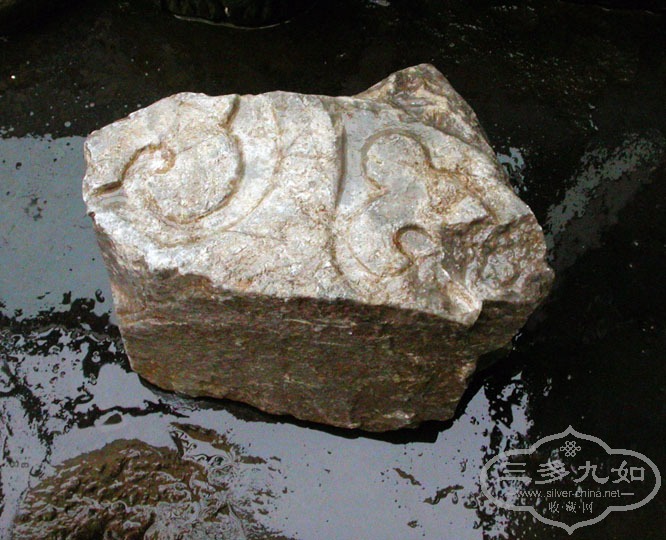 DSCN5292.JPG