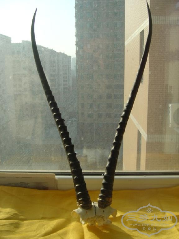 ��Ƭ 003.jpg