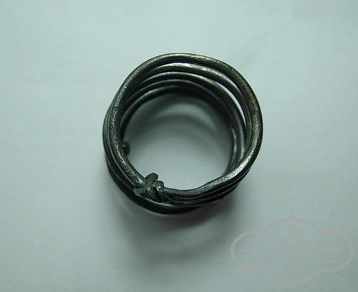 DSCN4646.jpg