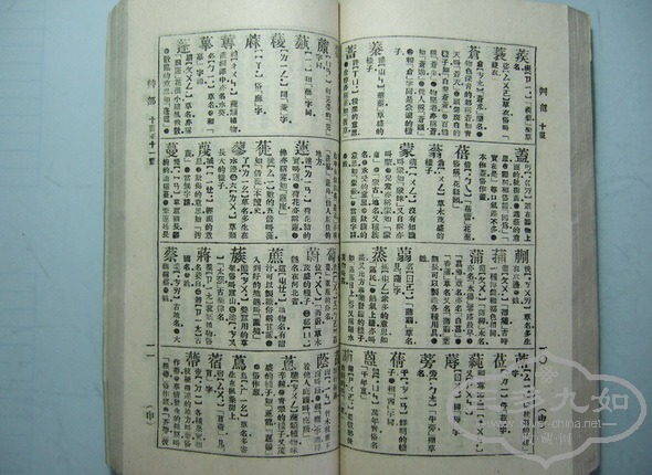 107.jpg
