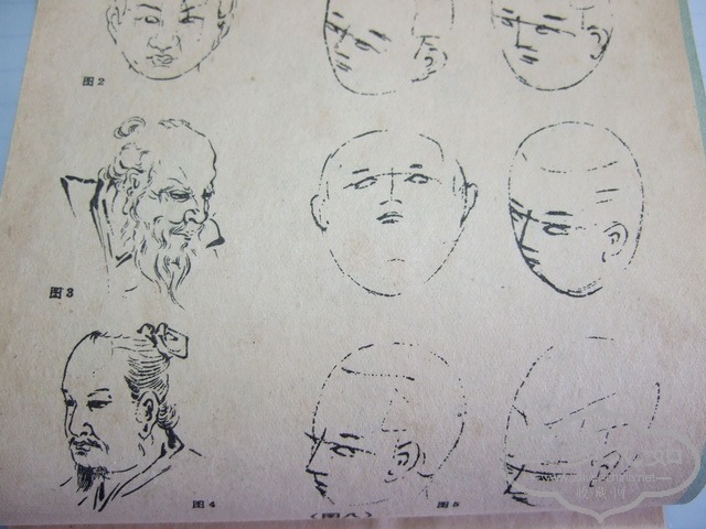 175.jpg