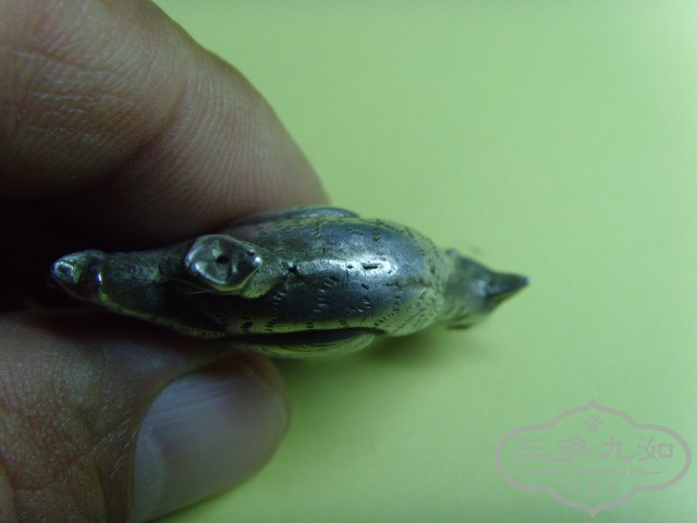 SNV34584.JPG