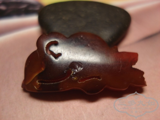 DSC01941.JPG