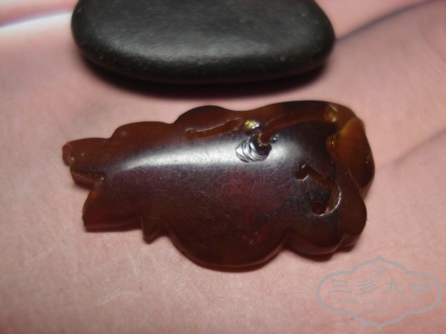 DSC01942.JPG
