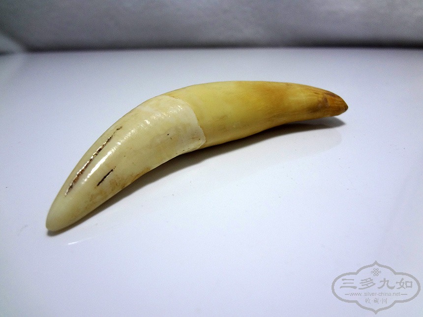 DSC07508.jpg