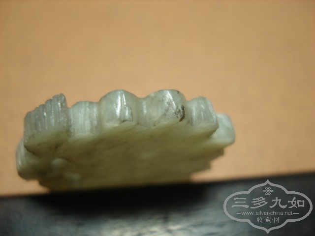 DSC02845.JPG