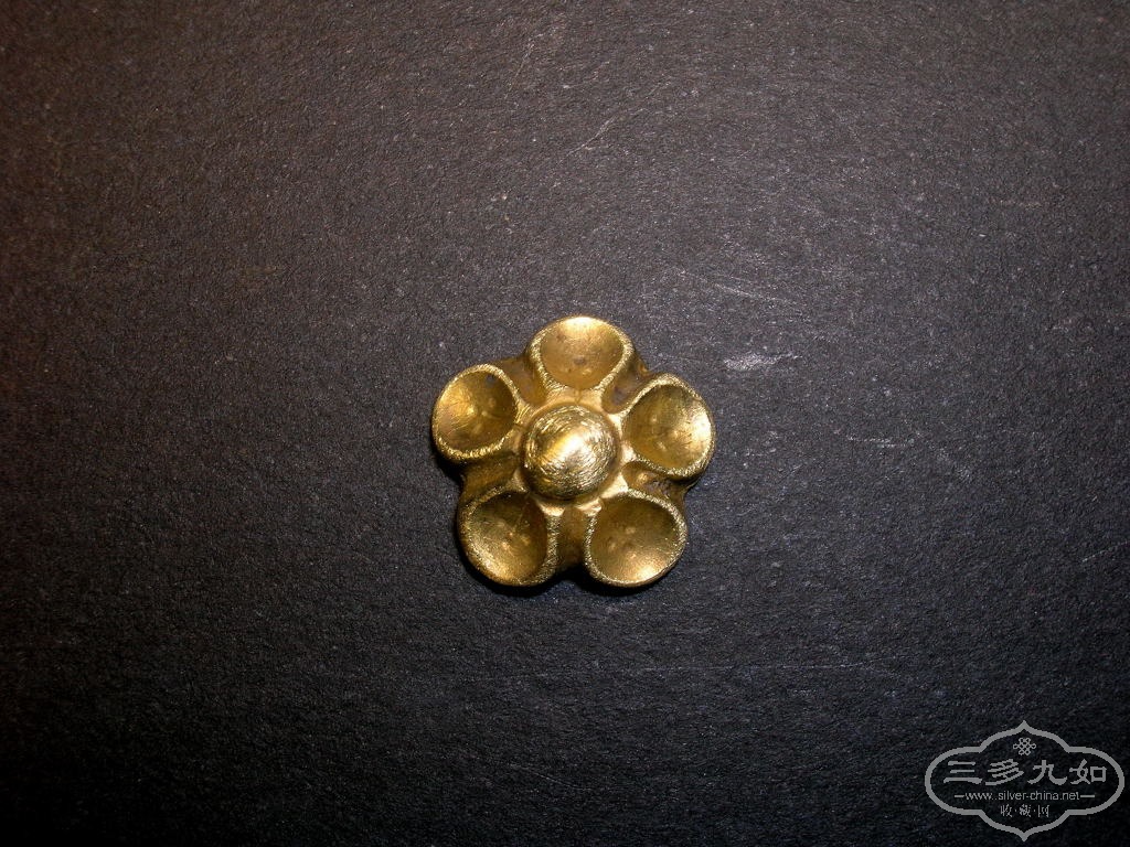 DSCN6416.JPG