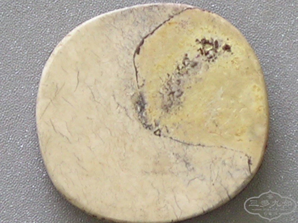 P1010003.JPG