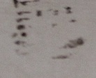ideogram-2.jpg