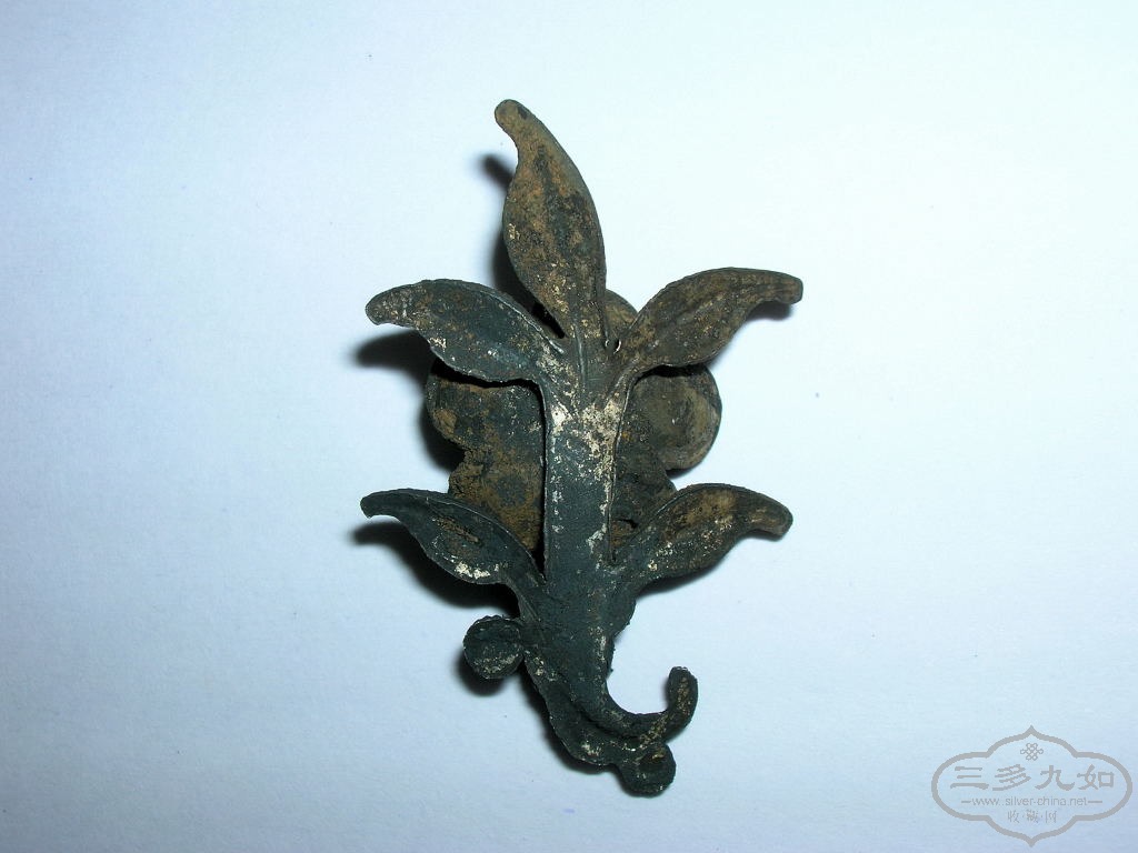 DSCN6185.JPG