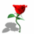 δ������1.gif