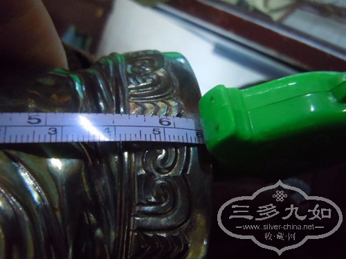 DSCN5093_.jpg
