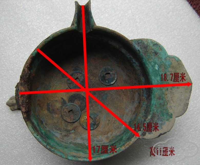 DSC00438_conew3.jpg