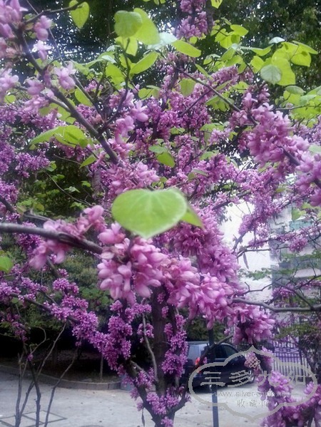 20130322_182457.jpg