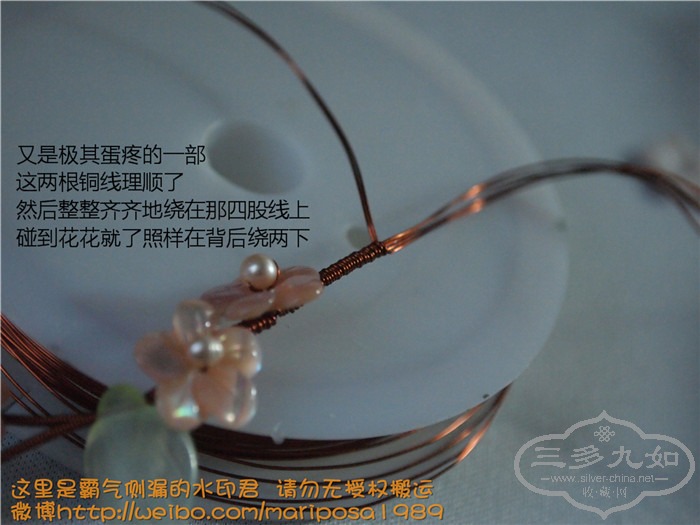 P1015126_.jpg