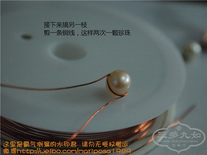 P1015129_.jpg