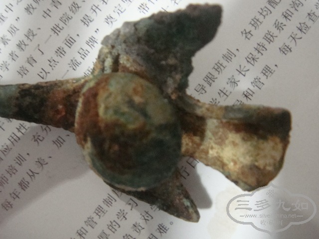 DSC04008.JPG